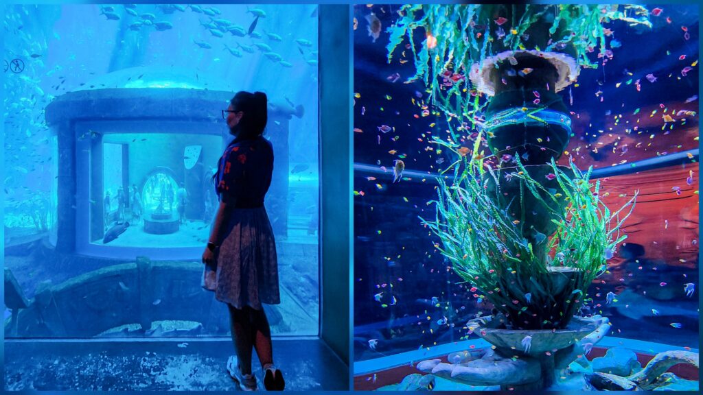 Visitor watching blue aquarium tank at The Sea Shell in VinWonders Phu Quoc