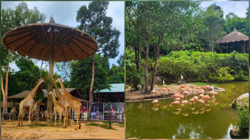 safari phu quoc
