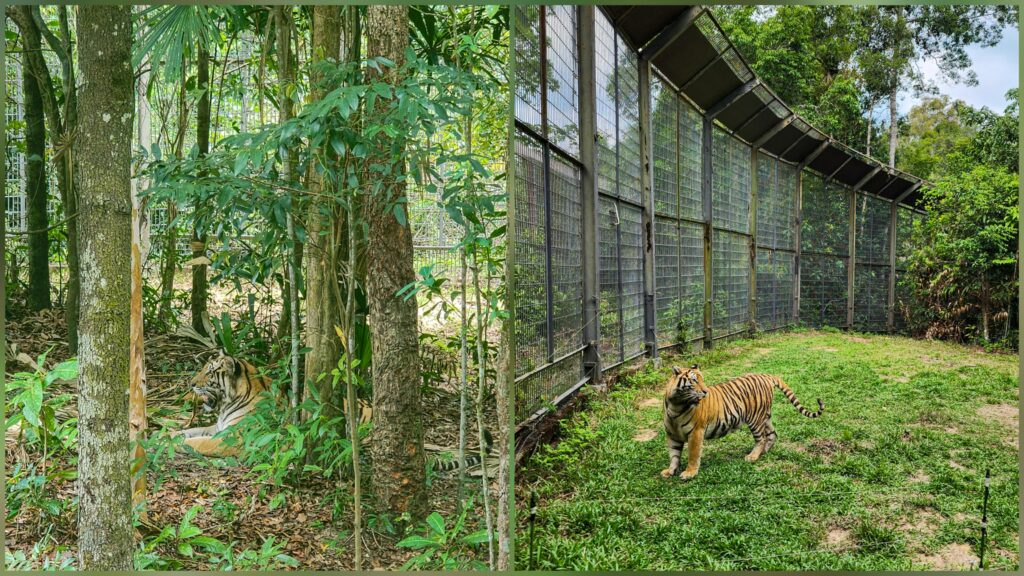 Vinpearl Safari Phu Quoc animal enclosure near VinWonders