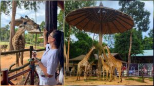 Vinpearl Safari Phu Quoc wildlife park in northern Phu Quoc