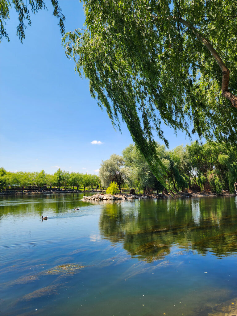 Kizilirmak River and willow trees in Avanos, Cappadocia