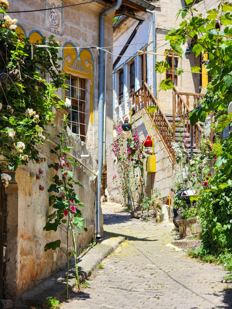 Narrow street with stone houses and greenery in Avanos Old Town