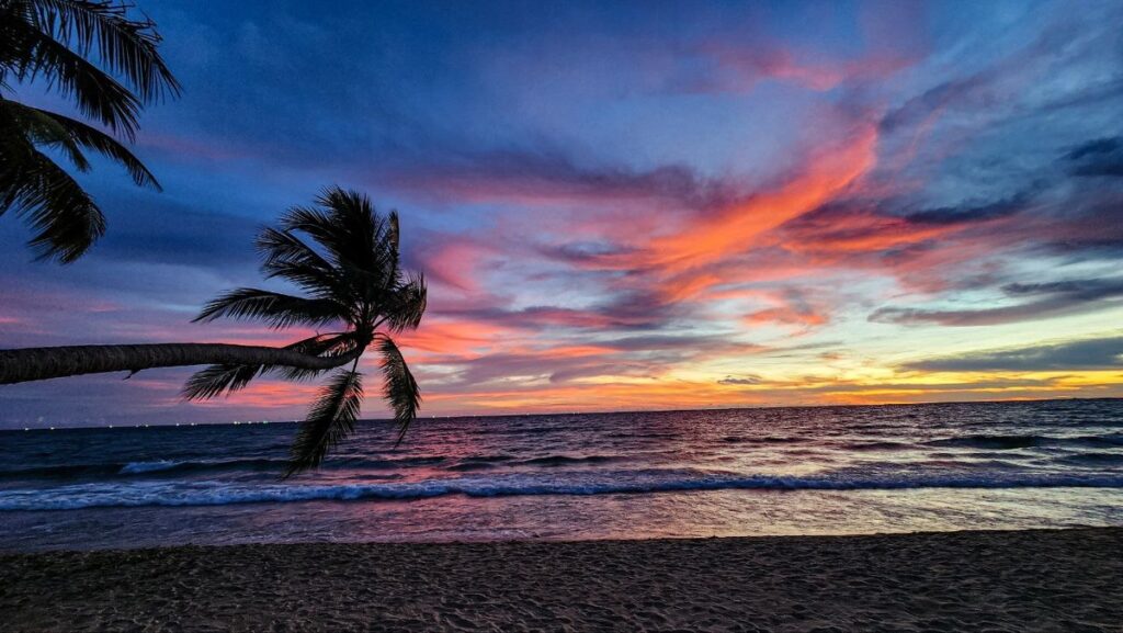 Palm tree silhouette against a vivid pink and orange sunset sky over the sea on Phu Quoc