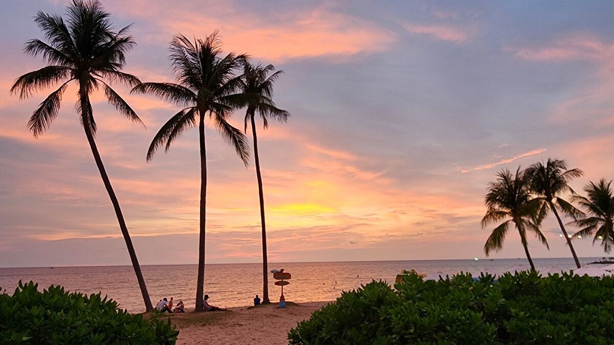Silhouetted palm trees and people relaxing on the sand at sunset on Long Beach, Phu Quoc Marina