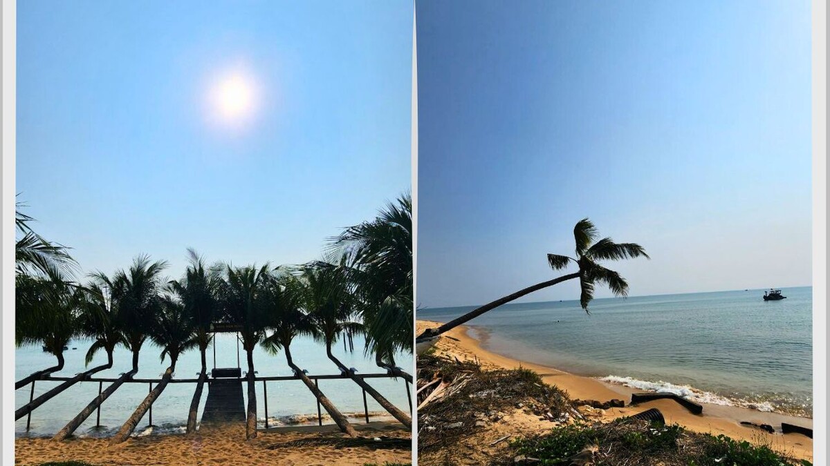 A row of leaning palm trees over a beach walkway under a hazy sun, and a lone palm stretching out over calm water toward a boat on Phu Quoc