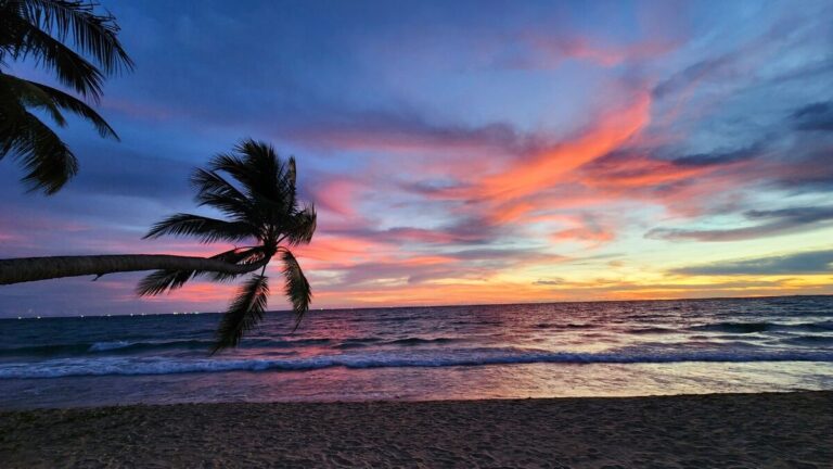A palm tree silhouette leaning over the sea at sunset with vivid pink and orange clouds at Phu Quoc Marina