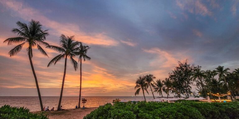 Palm trees and beach club umbrellas silhouetted against a golden sunset on Phu Quoc