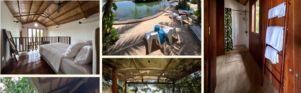 Loft bedroom with a high thatched ceiling, an aerial view of the rock pool with sunbeds, and a wooden bathroom hallway at Rory's Beach Bar tree house