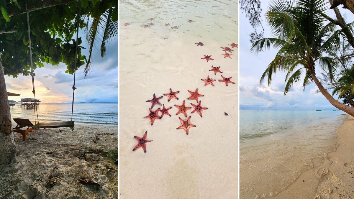 A wooden swing under a palm tree at sunset, red starfish in shallow water, and a quiet beach on Phu Quoc's north coast