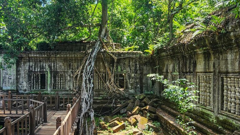 Beng Mealea Temple: Jungle Ruins, History & How to Visit