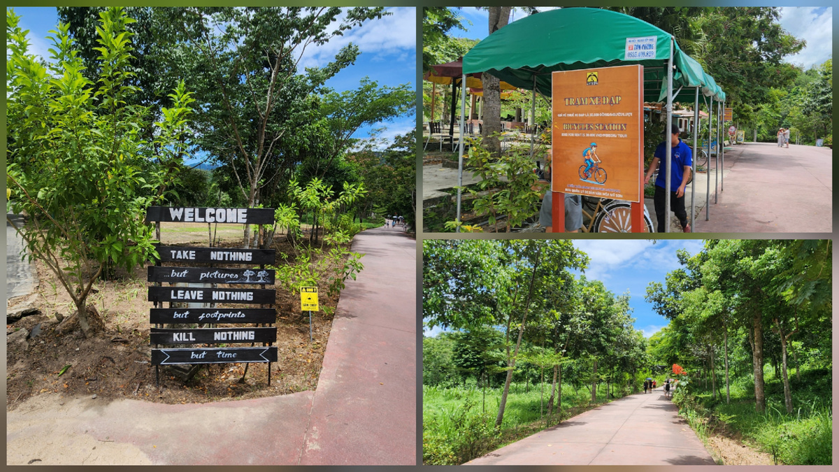 Wooden walkway and visitor area among trees at My Son