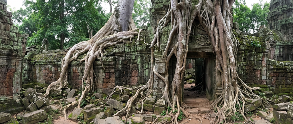 Ta Prohm Temple: History, Giant Tree Roots & How to Visit