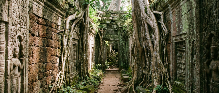 Ta Prohm Temple: History, Giant Tree Roots & How to Visit