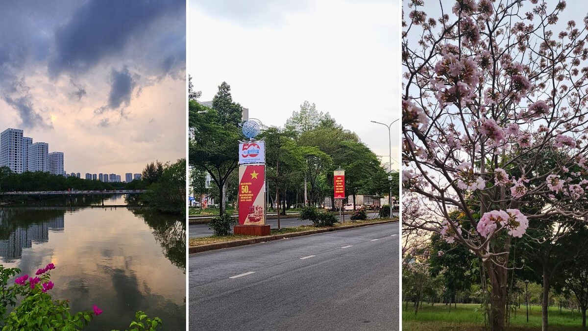 Tree-lined street and landscaped surroundings in District 7, Ho Chi Minh City