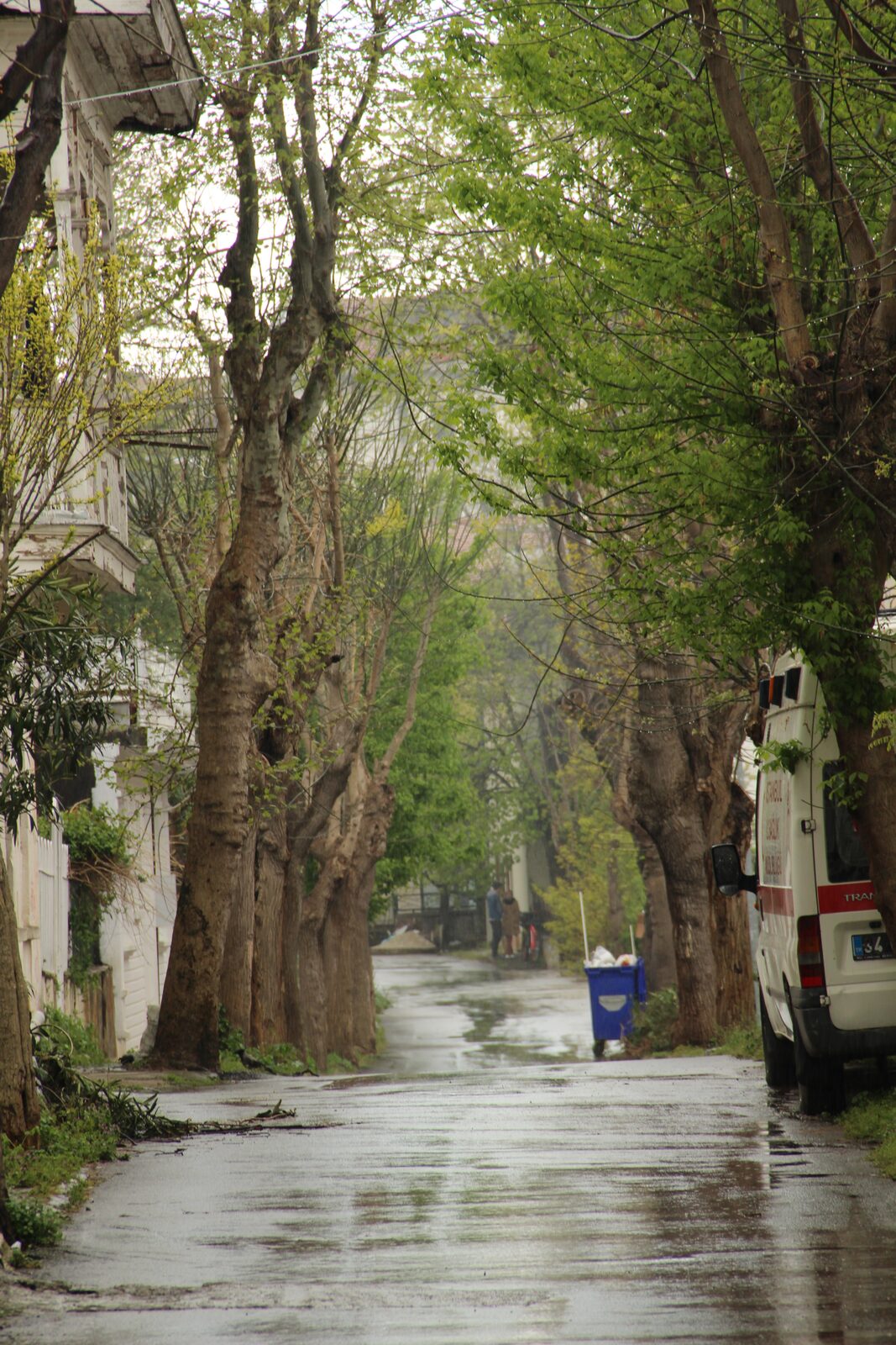 Quiet residential street on Büyükada in the Princes' Islands